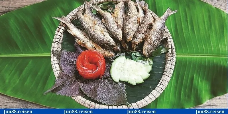 Nằm mơ thấy bắt được nhiều cá là điềm báo về tài lộc, thành công